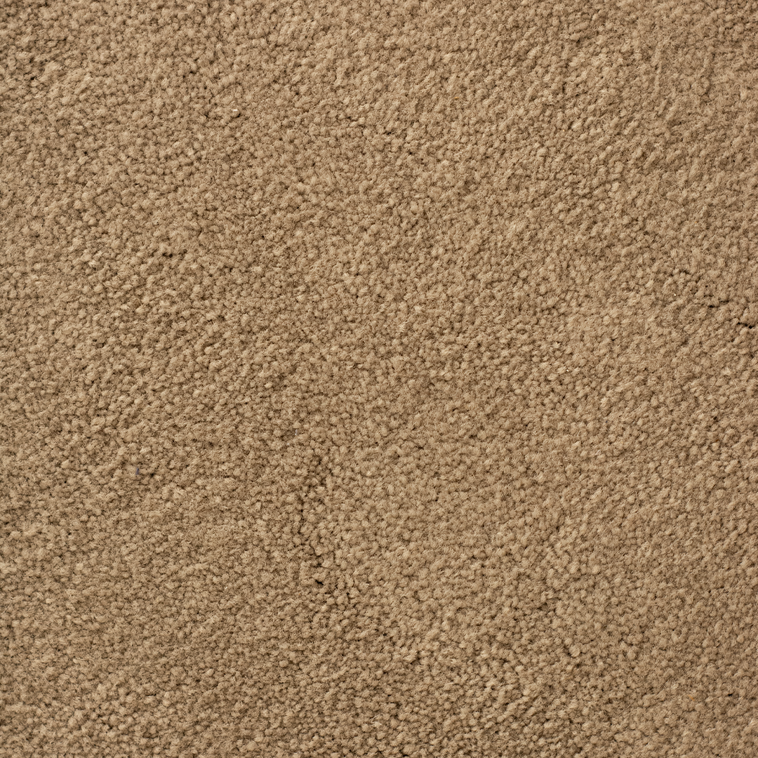 Tapete Nylon Liso Orgânico Disforme 4,20 X 3,9016,38M2 - Cor 1470 SR320 