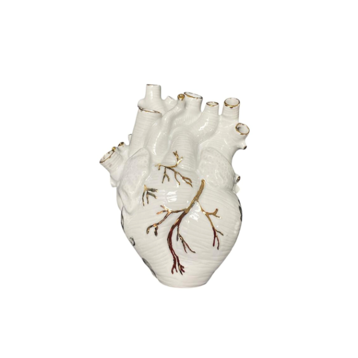 Vaso Coração Artéria 854 SR12301