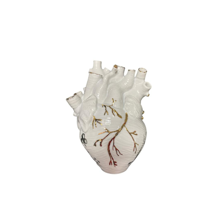 Vaso Coração Artéria De Parede 912 SR12302