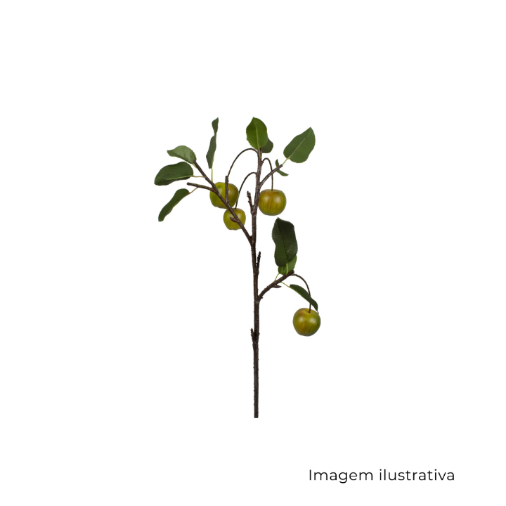 Maçã Galho 6436 SR12625