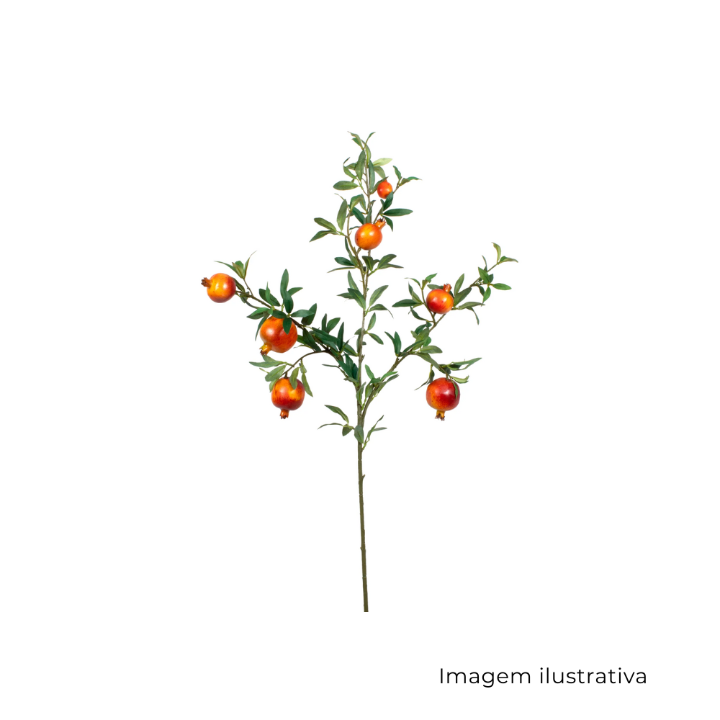 Romã Galho 6437 SR12626