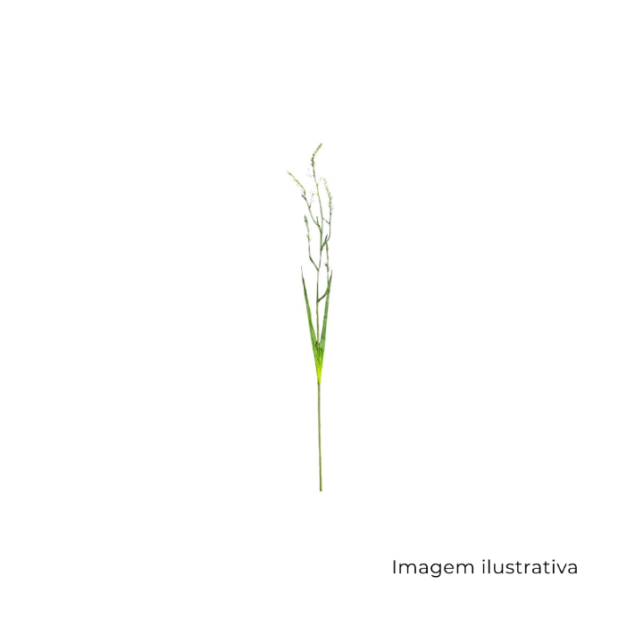 Haste Trítônia Branca MX901-3 SR12776