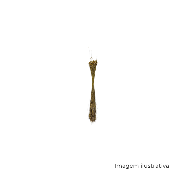 Jazida Natural 152620 SR13030