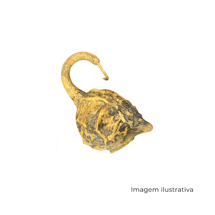 Cabaça Especial M GC009007 SR13139