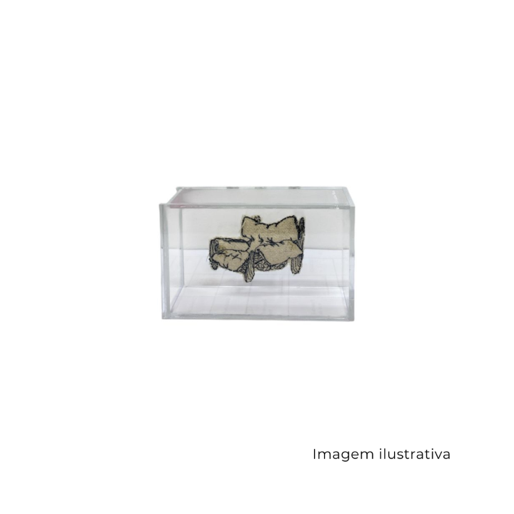 Caixa Acrilico Cadeira Mole Sergio Rodrigues MCA1773 SR13378