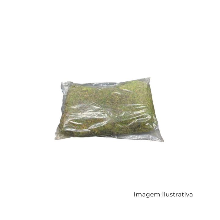 Musgo Grande 162544 SR13499