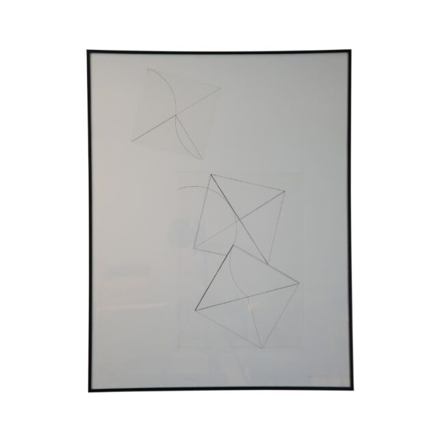 Quadro Com Gravura Em Metal De Macaparana SR10178