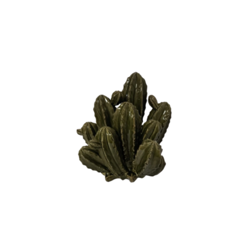 Estatueta Cactus Ramatuelle SR11893