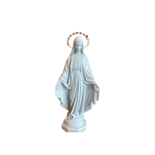Imagem Nossa Senhora das Graças V002 SR11963