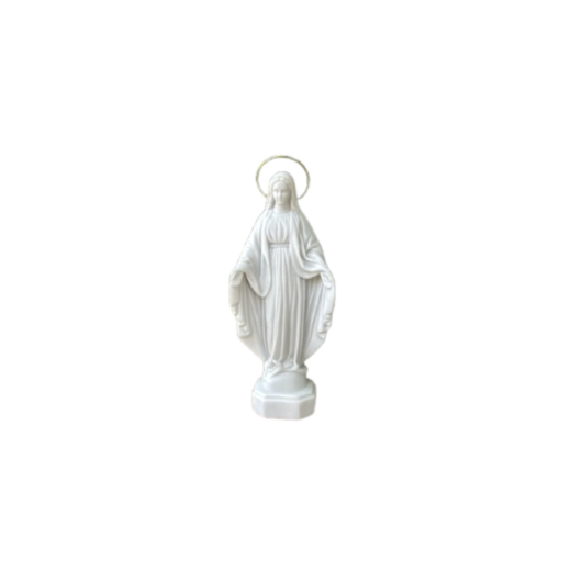 Imagem Nossa Senhora das Graças V003 SR11964