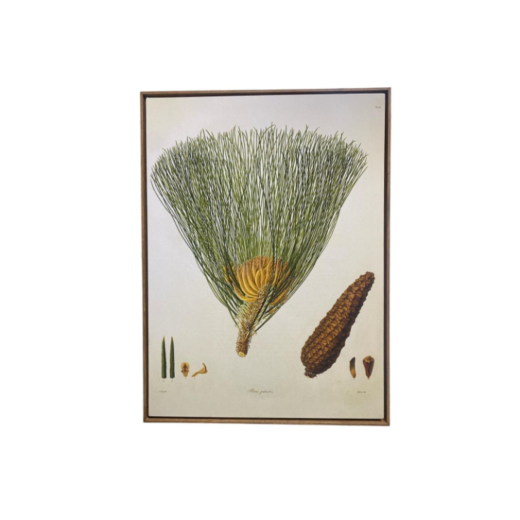 Quadro Botânica C10431(2) SR12095