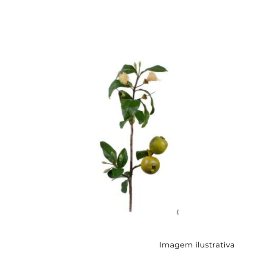 Goiaba Araçá Galho 6440 SR12627