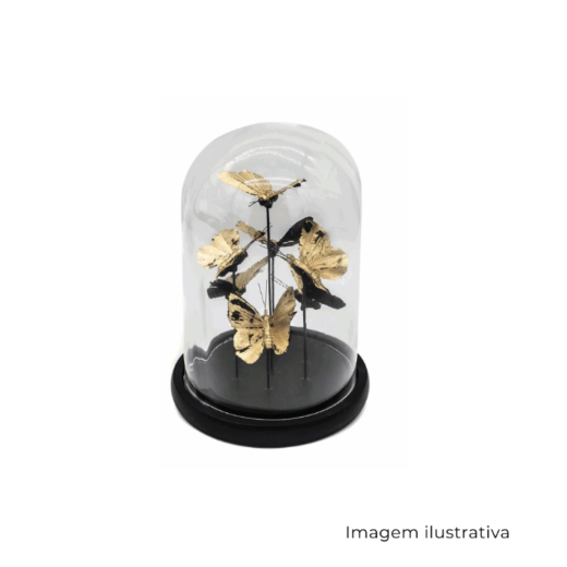 Escultura Borboletas Com Redoma De Vidro P1461 SR12662