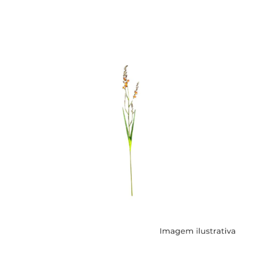 Haste Trítônia Laranja MX901-1 SR12774