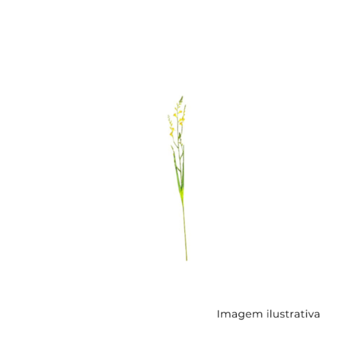 Haste Trítônia Amarela MX901-2 SR12775