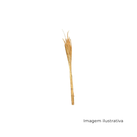 Flor De Napier 00047 SR13005