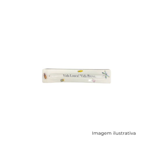 Porta Incenso Vida Louca! Vida Breve 376 SR13019