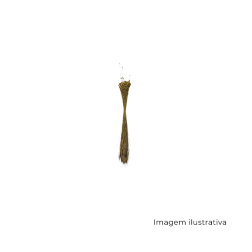 Jazida Natural 152620 SR13030