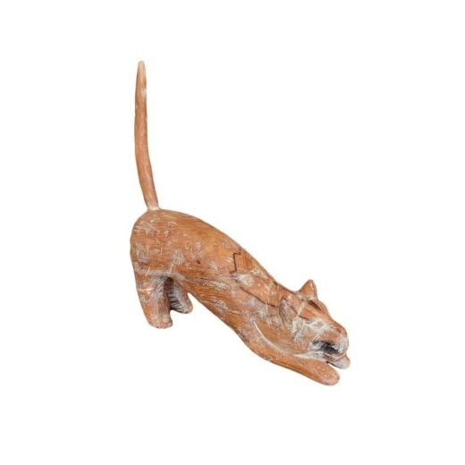 Gato De Madeira
 SR10441