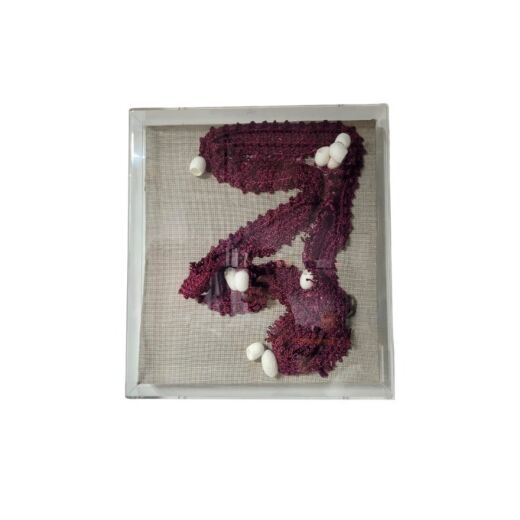 Quadro Croche Em Seda Organica Com Casulos Da Paz
 SR10293
