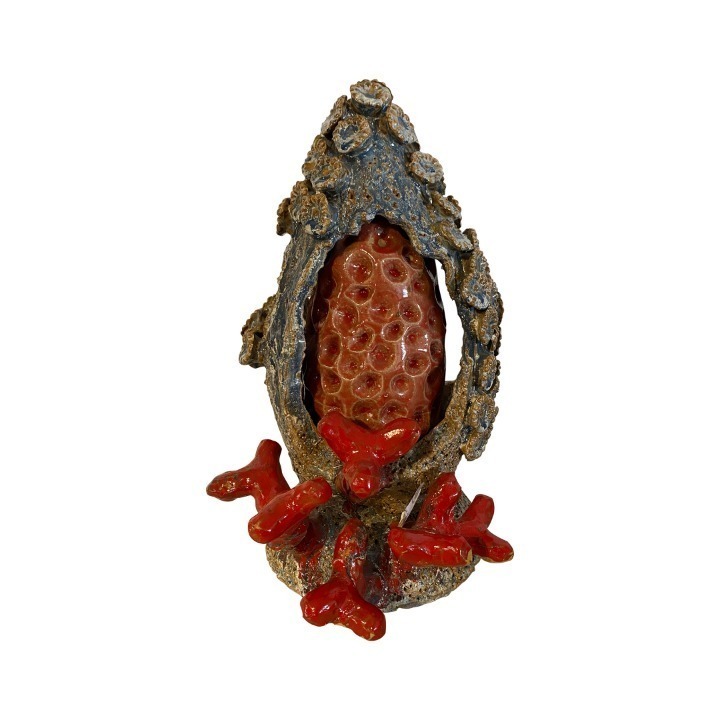 Escultura Coral 5 - D Melo SR10013