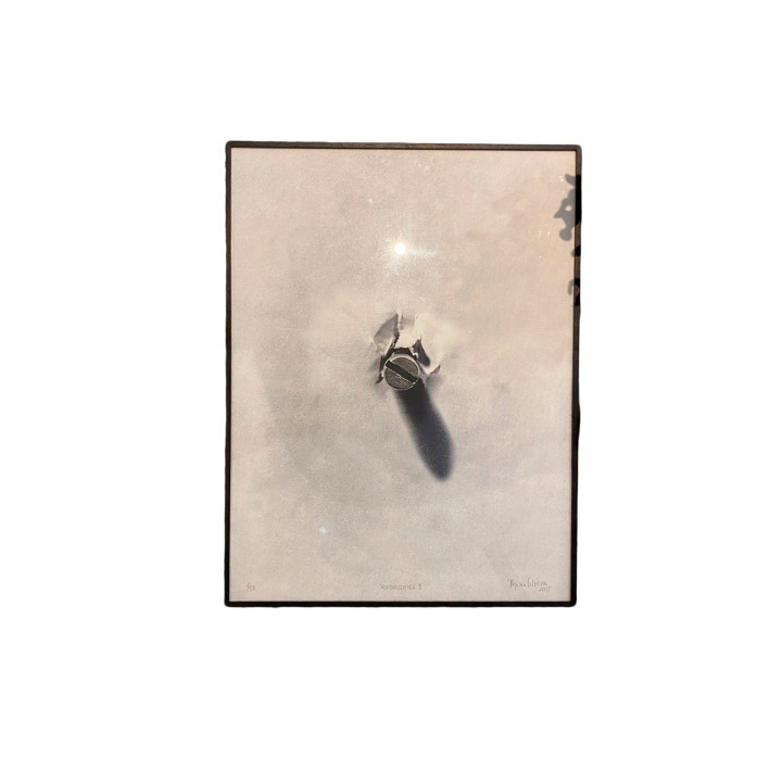 Quadro Com Gravura De Regina Silveira SR10785