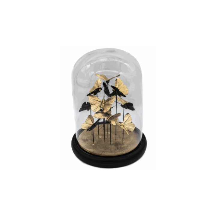 Escultura Borboletas Com Redoma De Vidro P1462 SR12502