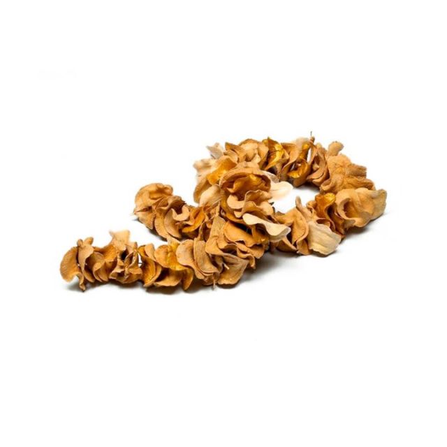 Colar Escultura Boca De Sapo Avejado Com Dourado SR10058