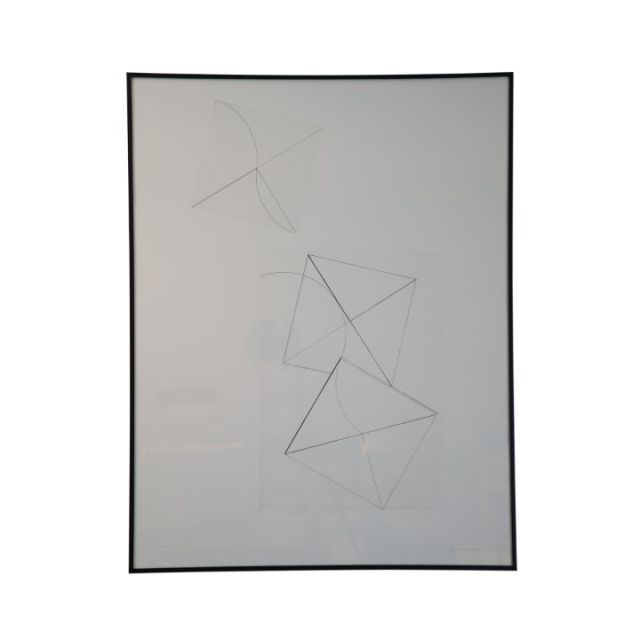 Quadro Com Gravura Em Metal De Macaparana SR10178