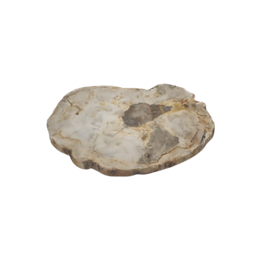 Adorno De Madeira Petrificada CIP1195 SR12505