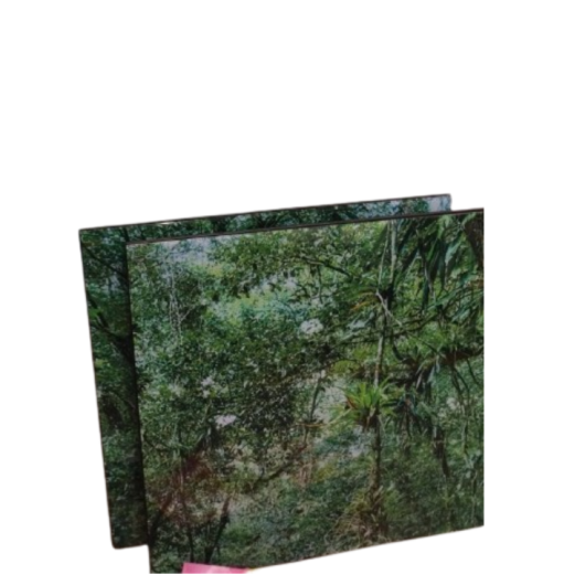 Conjunto 2 Quadros Geography SE493-5050-1PO (float Preto) SR10813