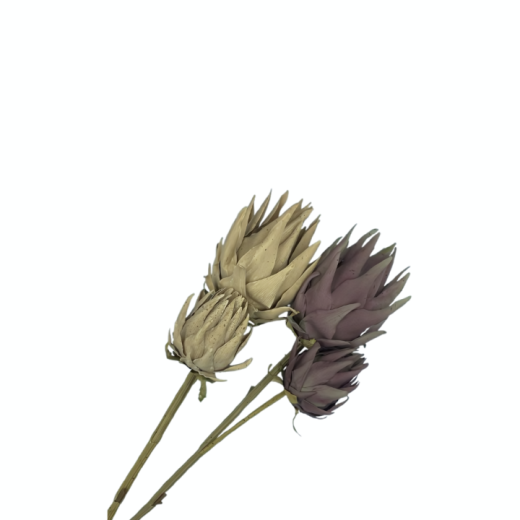 Haste Protea Outonada 2 Cores SR11525