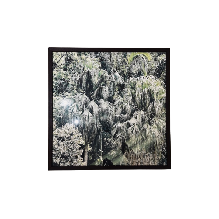 Quadro Atlantic Forest - Md1082 - Se496C SR11070
