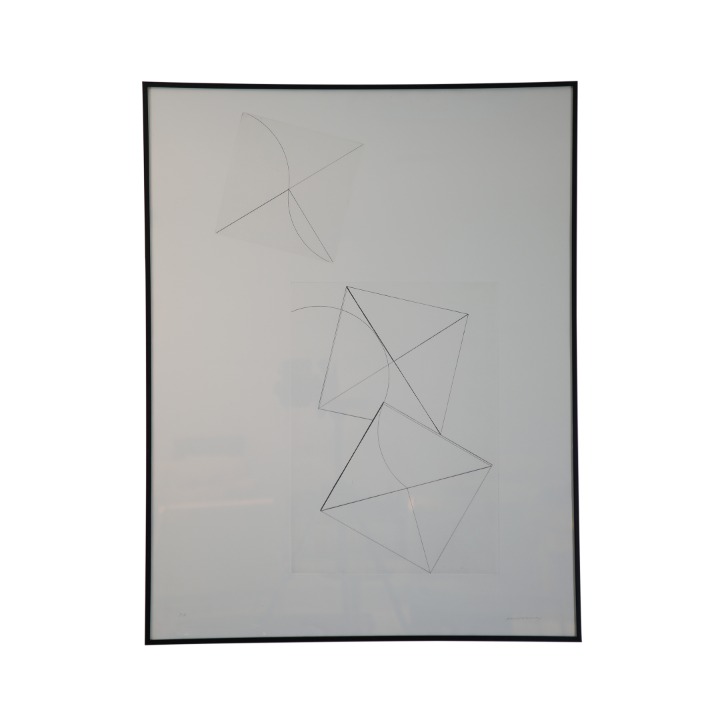 Quadro Com Gravura Em Metal De Macaparana SR10178